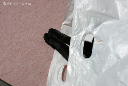 c0132438_22364360.jpg
