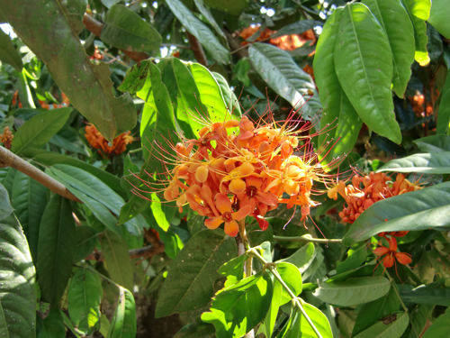 c0103558_10375758.jpg