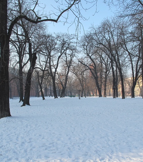 a0063364_22253561.jpg