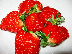 e0002466_2063952.jpg