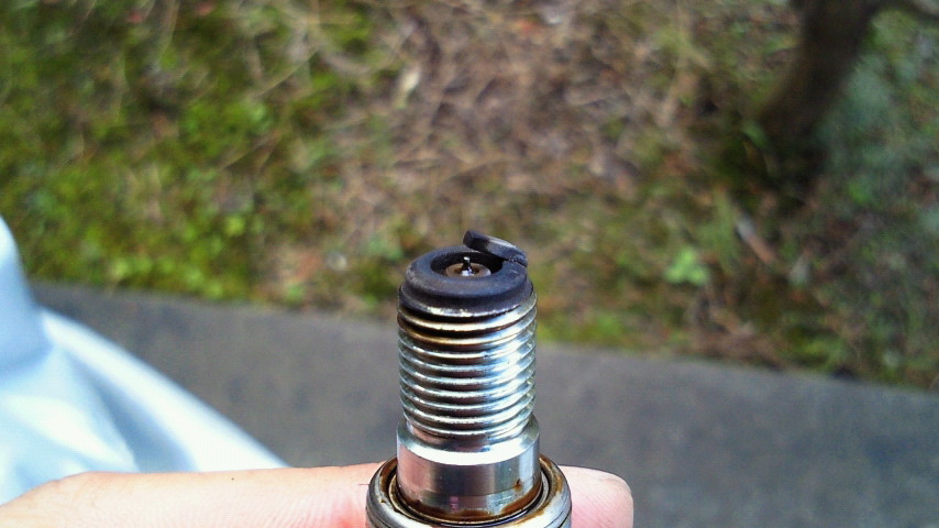 b0179167_15513732.jpg