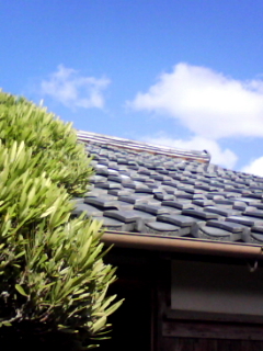 b0134673_15585574.jpg
