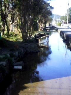 b0134673_16115640.jpg