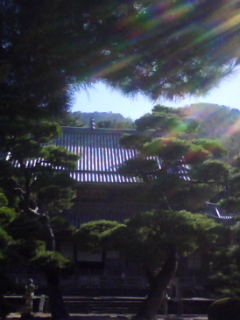 b0134673_16185976.jpg