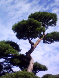 b0134673_16193284.jpg