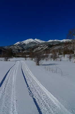 f0182173_11524341.jpg
