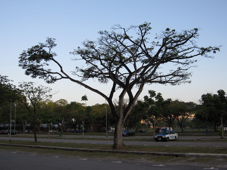 a0002177_1732372.jpg