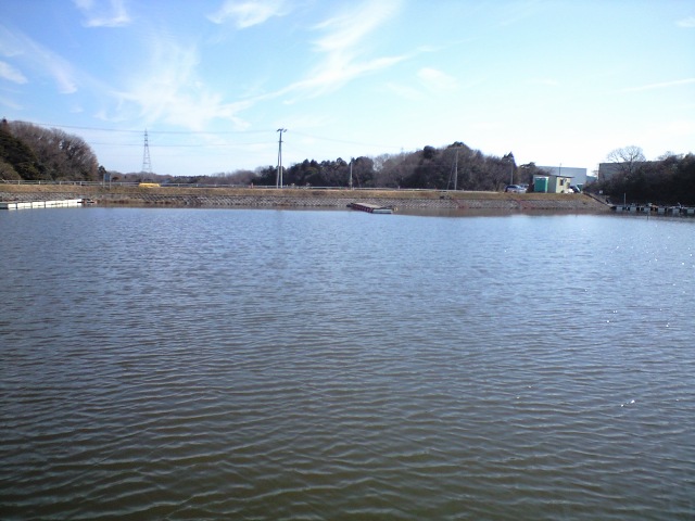 a0093677_2058946.jpg