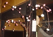c0057781_161117.jpg