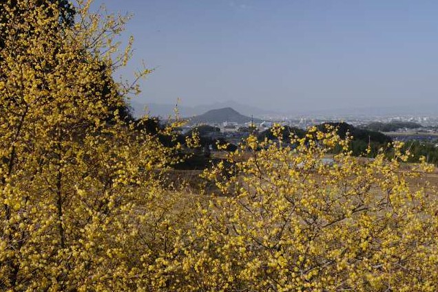 e0092186_22235354.jpg