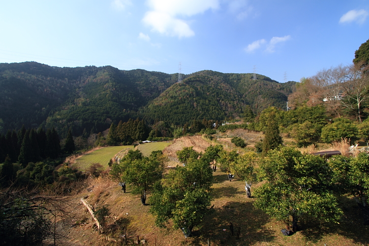 e0051888_22554490.jpg