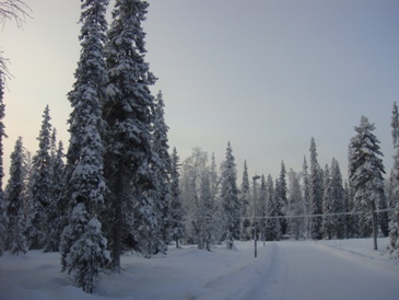 f0077910_7364866.jpg