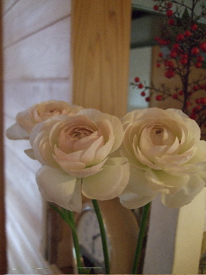 c0025422_14451590.jpg