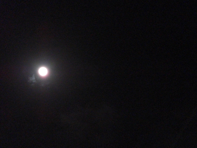 e0081334_2127586.jpg