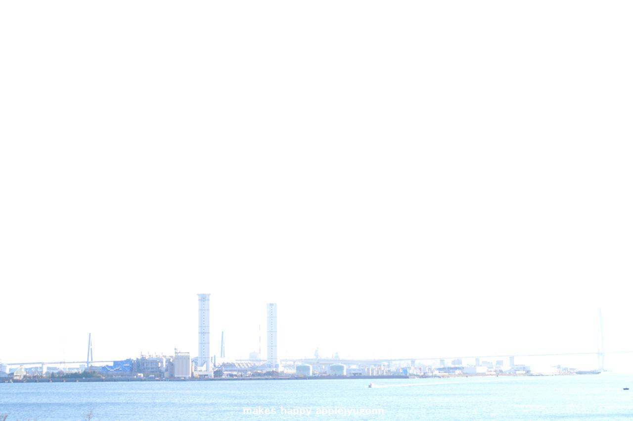 e0165434_182489.jpg