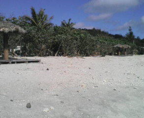a0134136_1721762.jpg