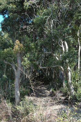 f0029536_14384739.jpg