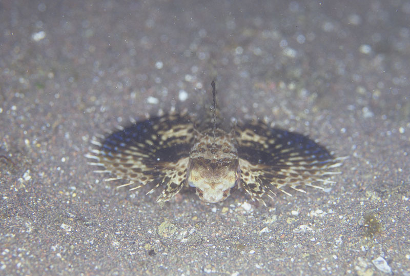 b0042837_20305855.jpg