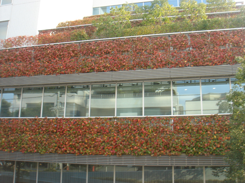 f0208737_842236.jpg