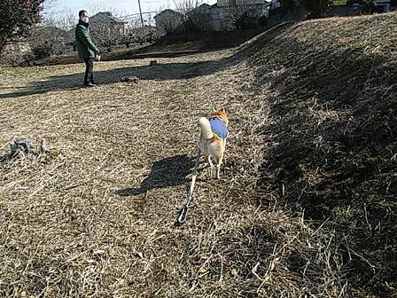 f0075043_2126155.jpg