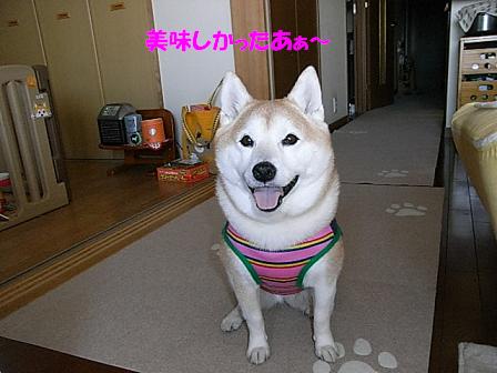 f0075043_21432429.jpg