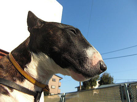 f0094843_00315.jpg