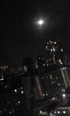 e0187047_21323788.jpg