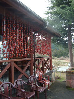 f0075847_1473438.jpg