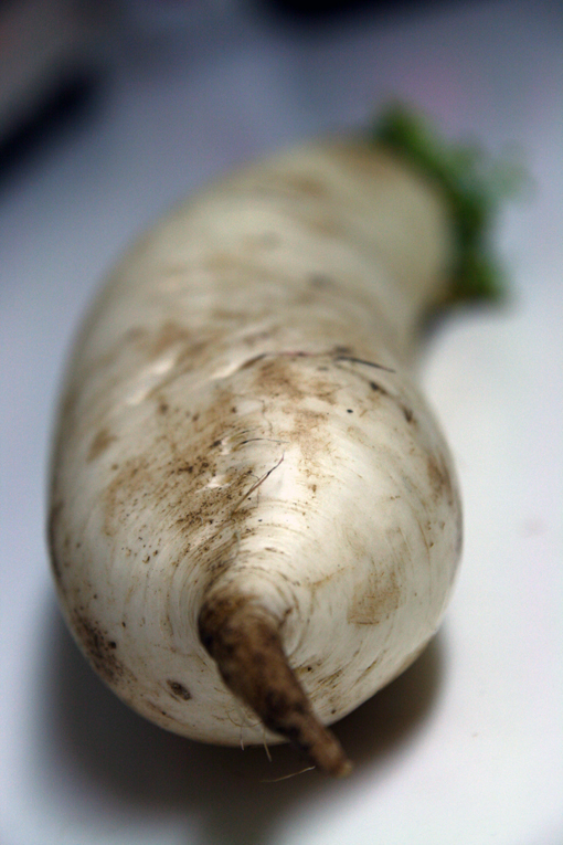 d0041050_14579.jpg