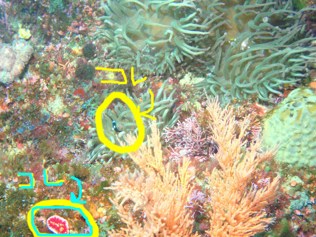 e0065350_23562855.jpg