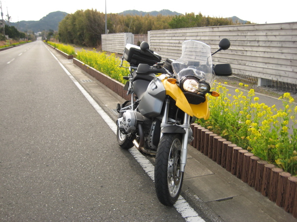 f0191656_1516105.jpg