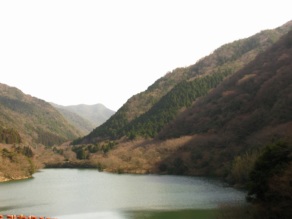 e0024081_2032466.jpg