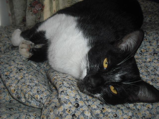 e0133087_1115826.jpg