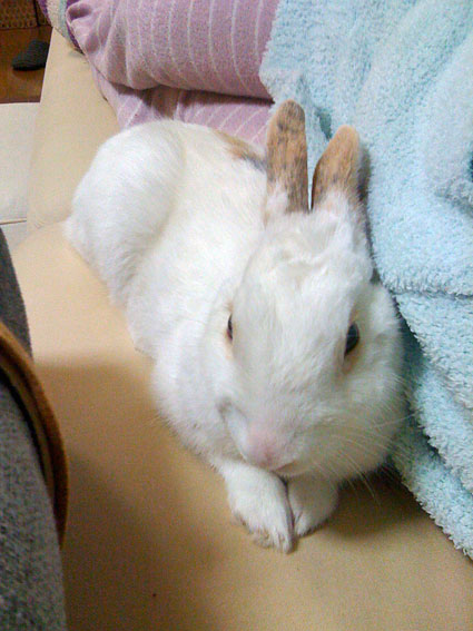f0201191_11285494.jpg