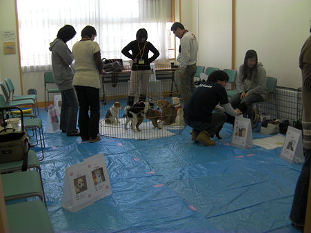 a0164292_21335591.jpg
