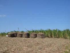 e0111793_059625.jpg