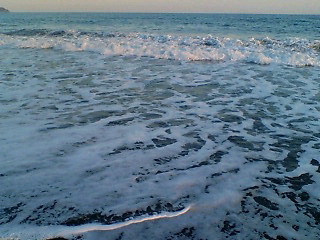 f0138995_232769.jpg