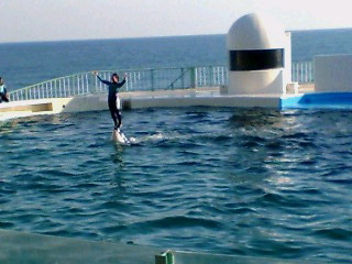 f0138995_232781.jpg