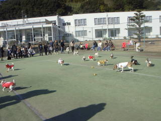 c0191597_2264617.jpg