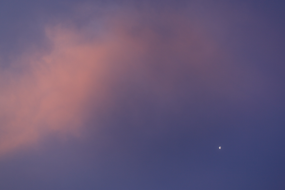 a0155104_10132571.jpg