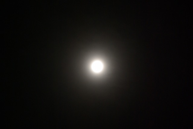 e0183804_6291716.jpg