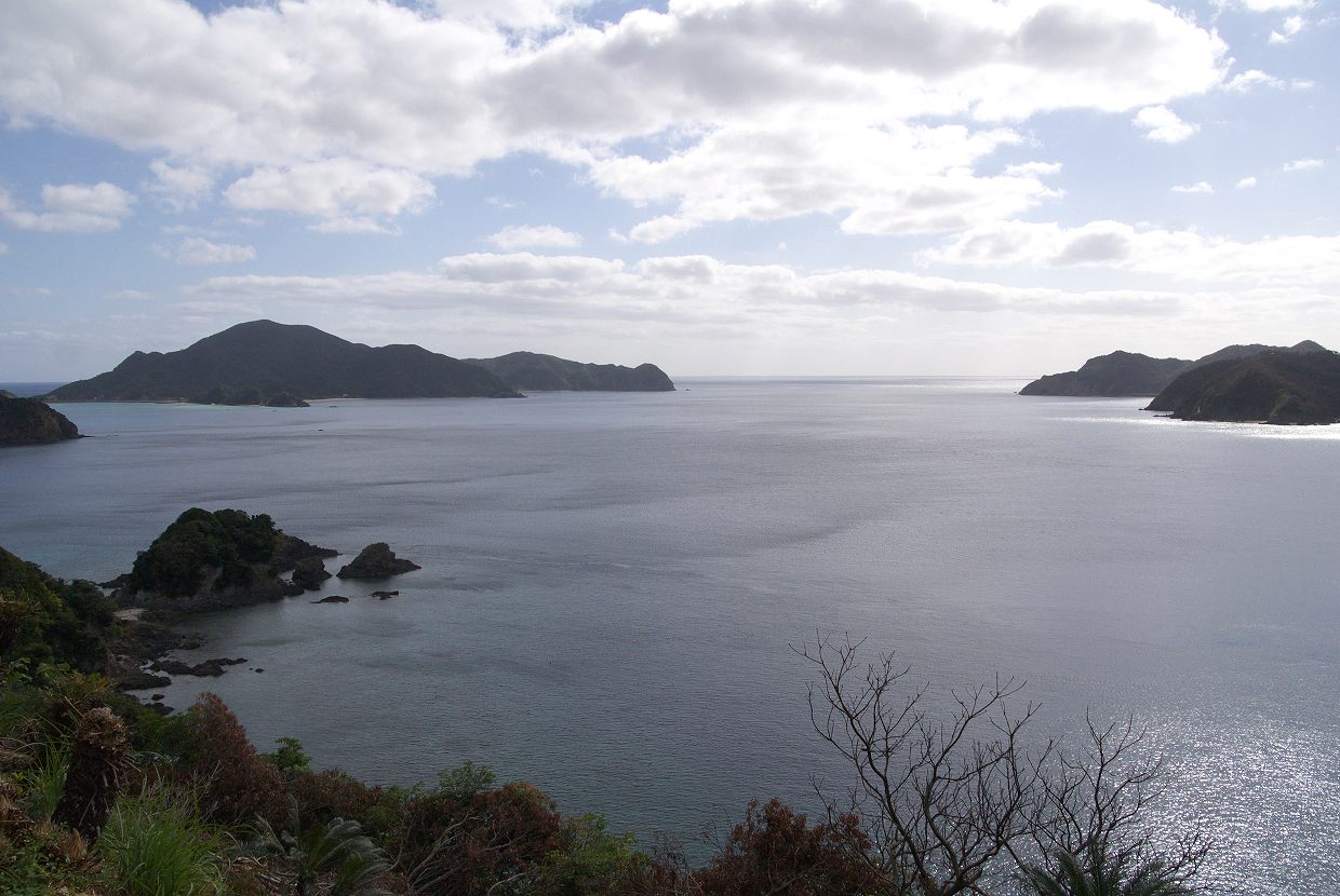 b0174905_7193922.jpg