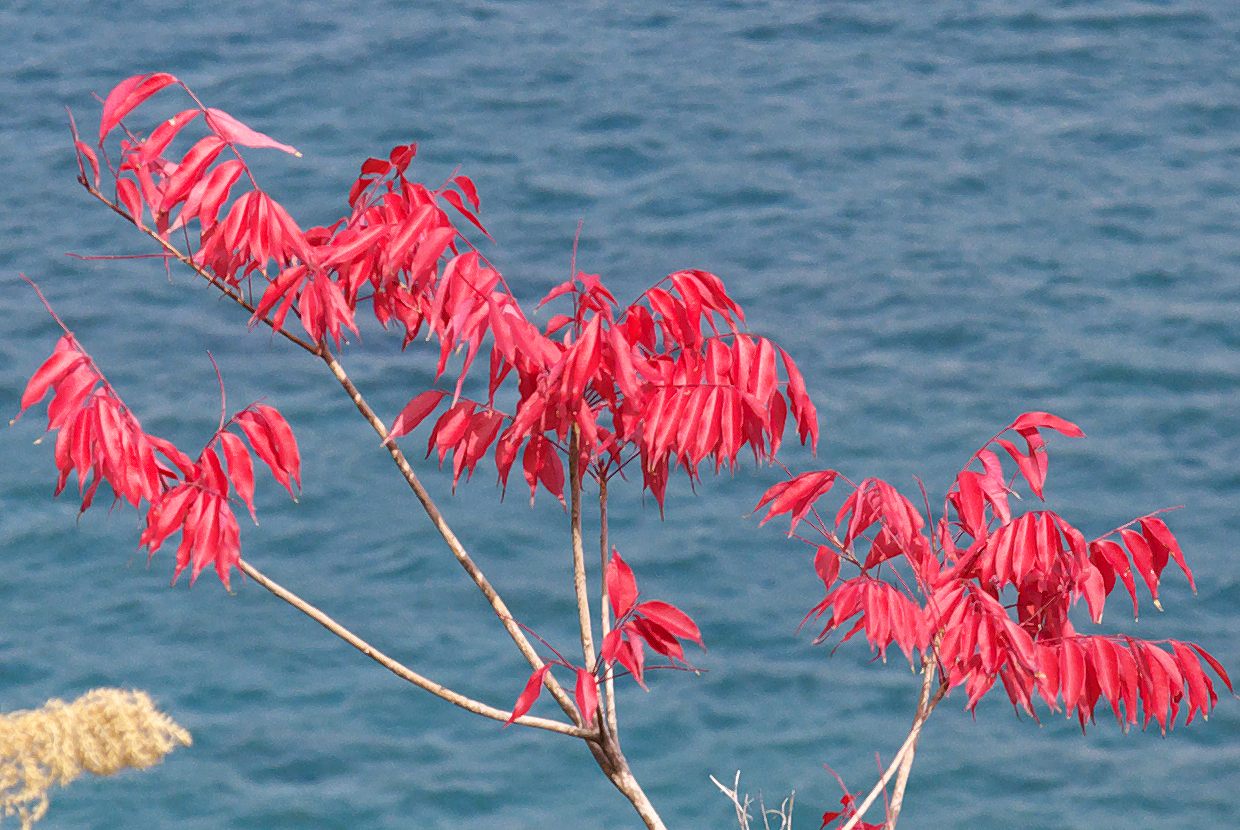 b0174905_7223260.jpg