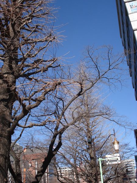 f0084806_14133981.jpg