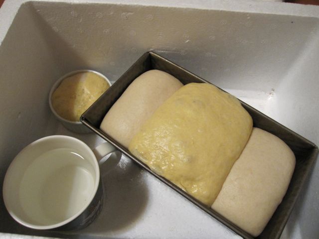 f0159406_981791.jpg