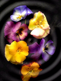 e0098908_2175919.jpg
