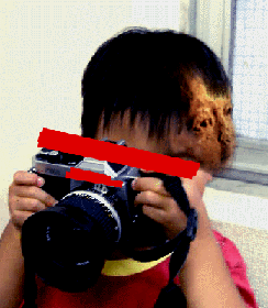 e0103408_12244065.gif