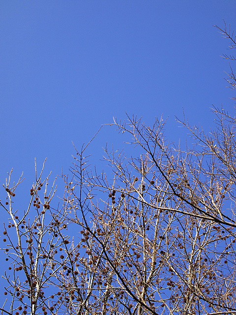 e0163608_06671.jpg