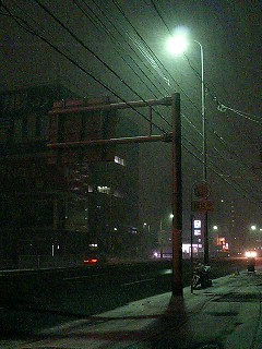 e0101411_1221653.jpg