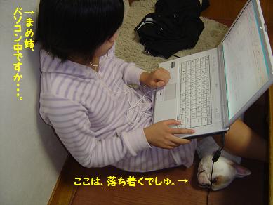 a0158613_23453552.jpg
